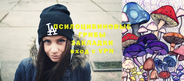 гашик Нязепетровск