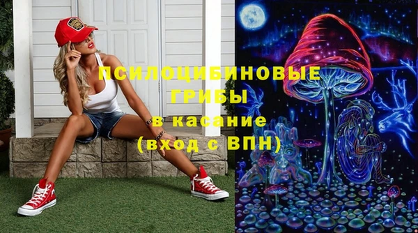 гашик Нязепетровск