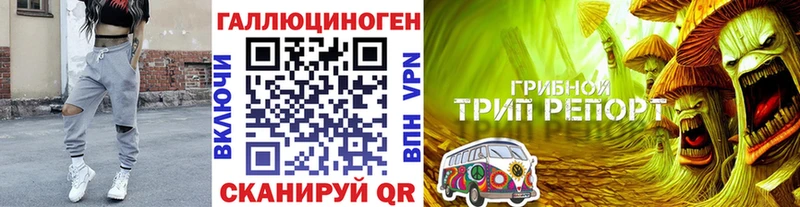 цена наркотик  Щигры  ОМГ ОМГ вход  Псилоцибиновые грибы GOLDEN TEACHER 