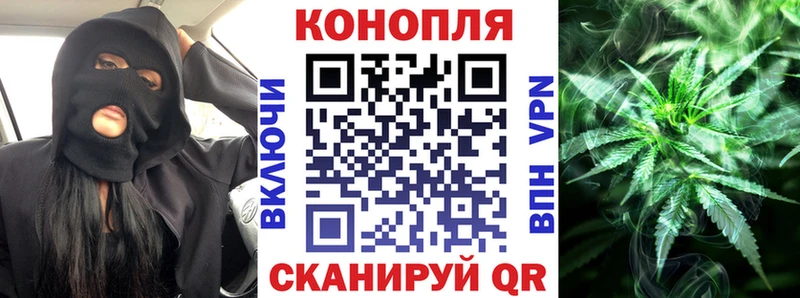 магазин продажи наркотиков  Щигры  Конопля Amnesia 